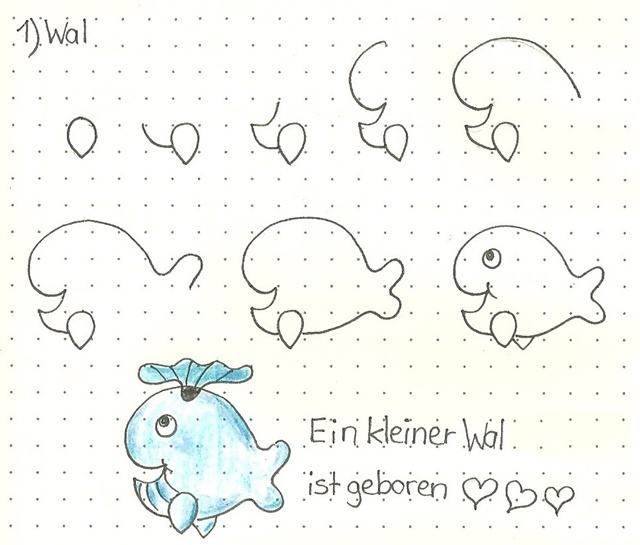 Tiere Zeichnen Die Erste Wal Und Robbe Zeichnen Leicht Gemacht